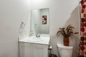 bathroom featuring toilet, vanity, and walk in shower