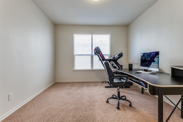 office space featuring carpet flooring