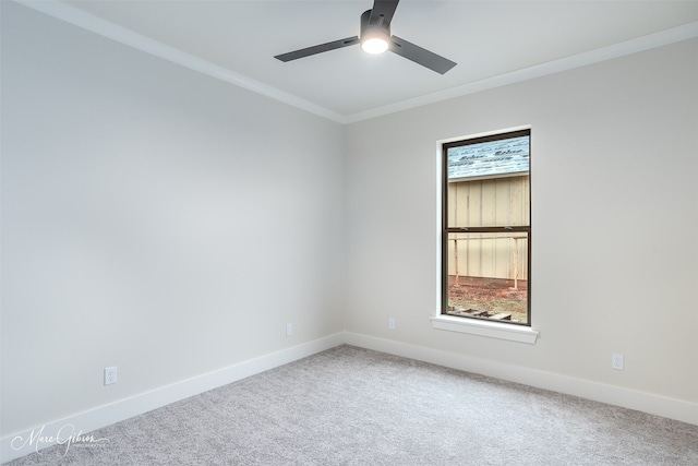 empty room featuring a wealth of natural light, carpet floors, and crown molding