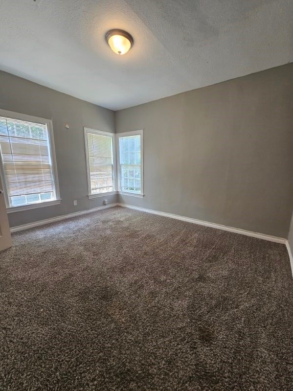 spare room featuring carpet floors and a textured ceiling