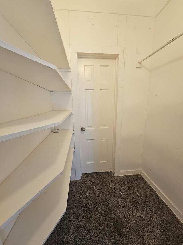 walk in closet featuring dark carpet