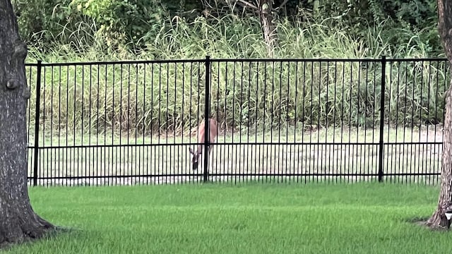 view of gate with a lawn