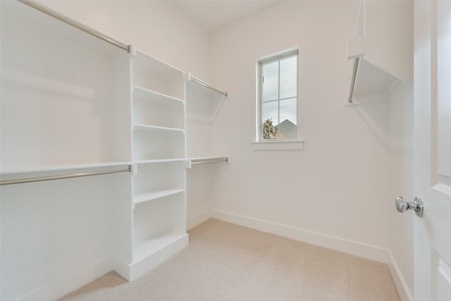 spacious closet featuring light colored carpet