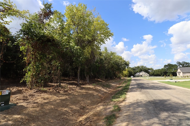 683 Bent Tree Ln, Weatherford TX, 76085 land for sale