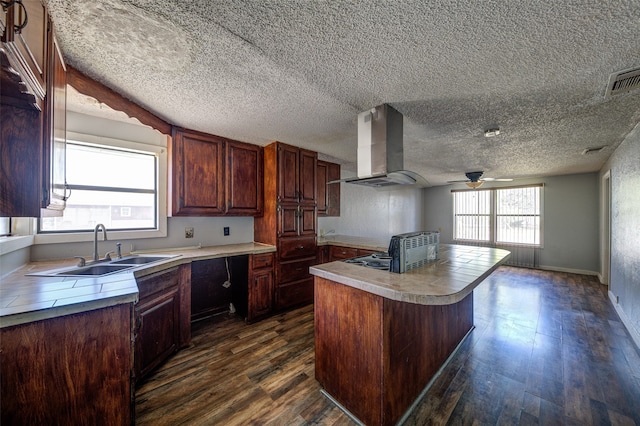 kitchen with dark hardwood / wood-style flooring, exhaust hood, and plenty of natural light