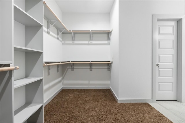 walk in closet featuring carpet flooring