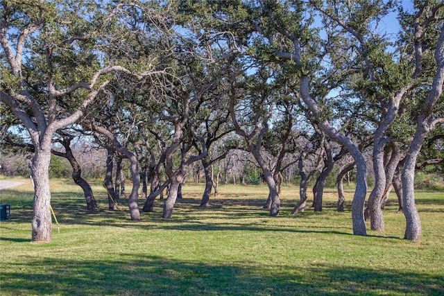 view of property's community featuring a yard