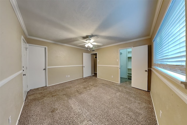 unfurnished bedroom featuring a walk in closet, ceiling fan, carpet floors, and ornamental molding