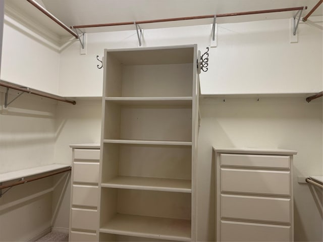 view of spacious closet