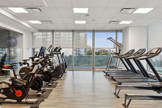 gym with expansive windows and a drop ceiling