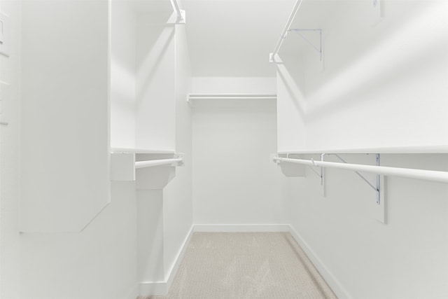 walk in closet with light colored carpet