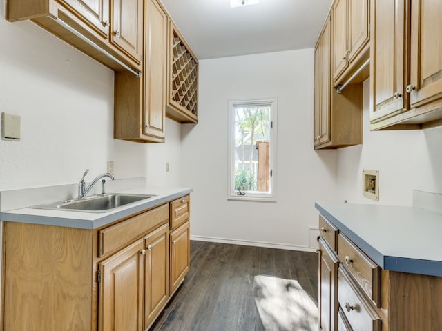 kitchen with sink and dark wood-type flooring