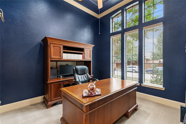 carpeted office featuring ornamental molding