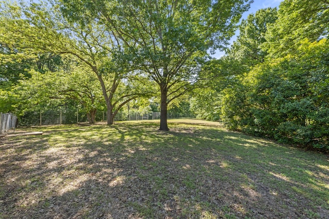 1901 Shady Hollow Ct, Garland, TX 75040 - view of yard