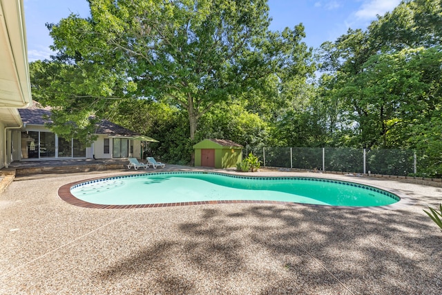 view of pool featuring a patio and a storage shed