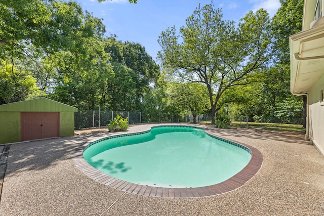 view of pool featuring a patio area and a shed