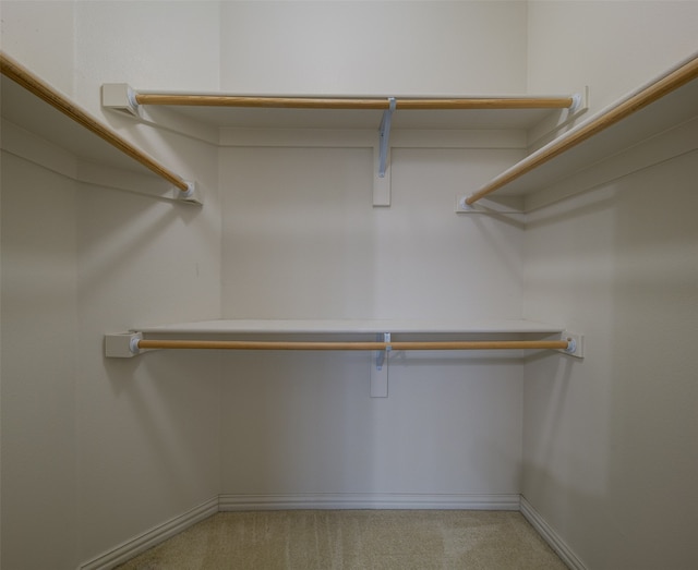 spacious closet with light colored carpet