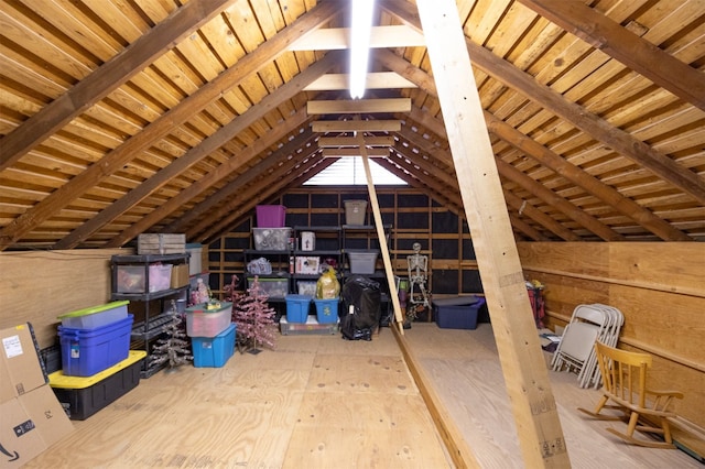 7117 Serrano Dr, Benbrook, TX 76126 - view of attic