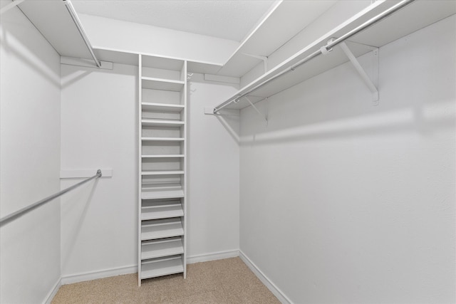 walk in closet with carpet