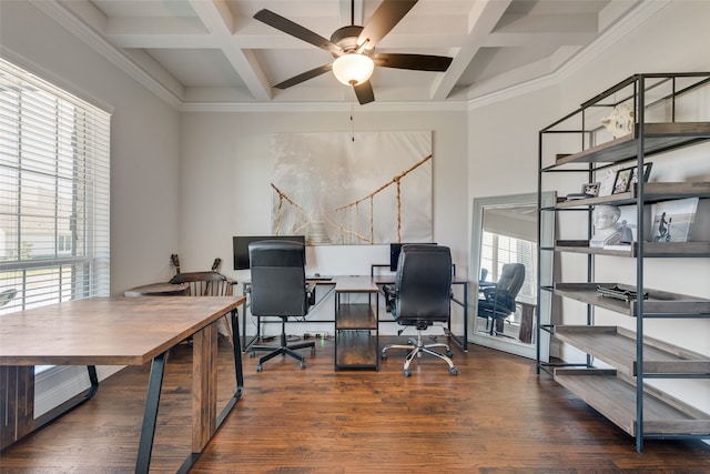 office area featuring dark hardwood / wood-style flooring, a healthy amount of sunlight, and coffered ceiling