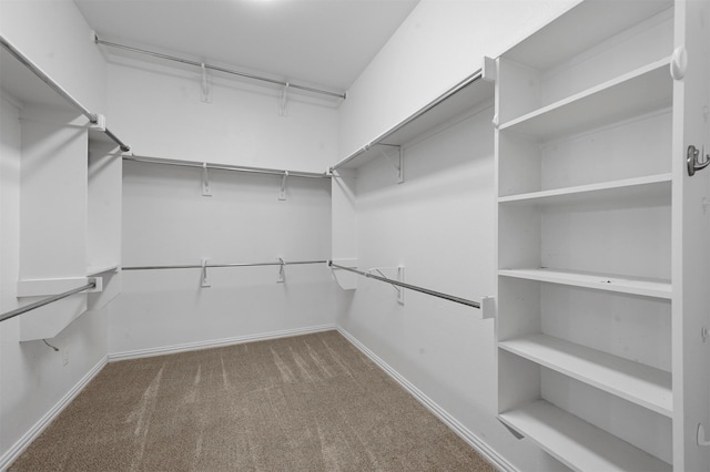 spacious closet featuring carpet floors