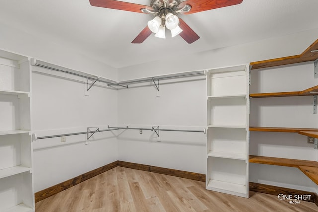 spacious closet with light wood-type flooring and ceiling fan