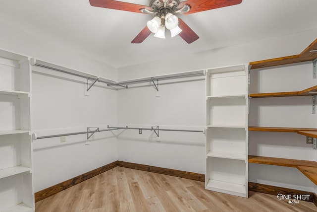 560 County Road 332, Abilene, TX 79606 - walk in closet featuring a ceiling fan and light wood finished floors