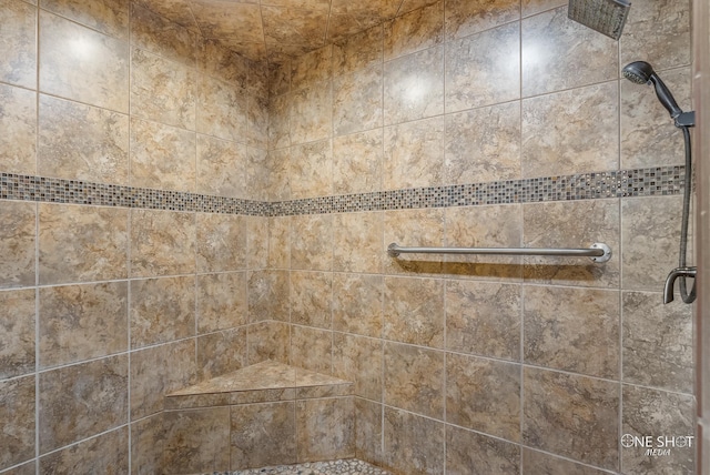 560 County Road 332, Abilene, TX 79606 - bathroom view of a shower stall