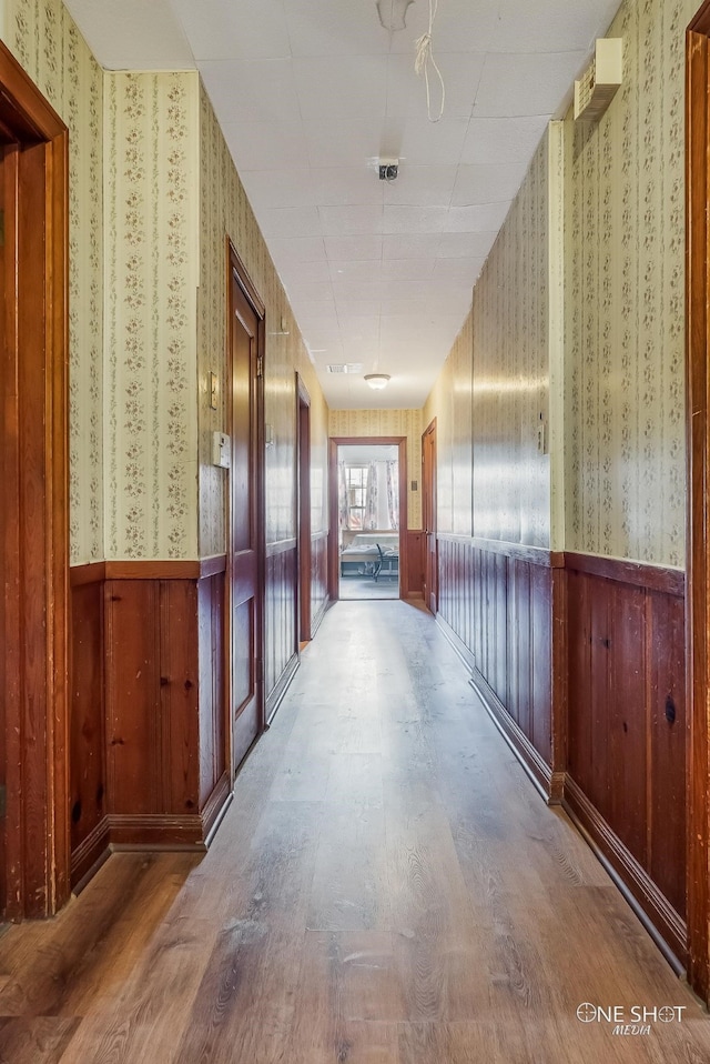 hallway with hardwood / wood-style floors and wooden walls