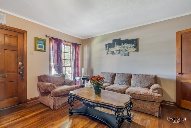 living room featuring dark wood-type flooring and ornamental molding