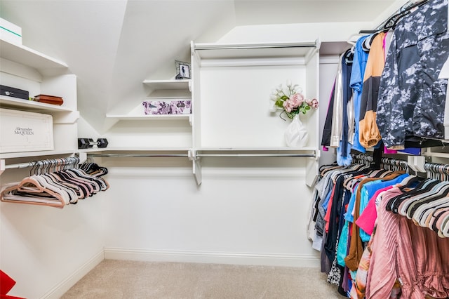 spacious closet with light carpet