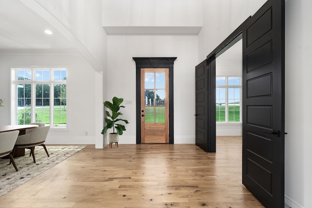 entryway featuring ornamental molding, light hardwood / wood-style floors, and plenty of natural light