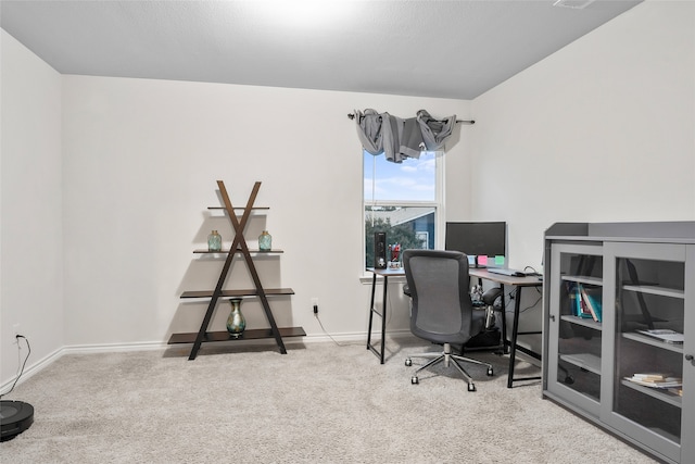 home office with carpet floors