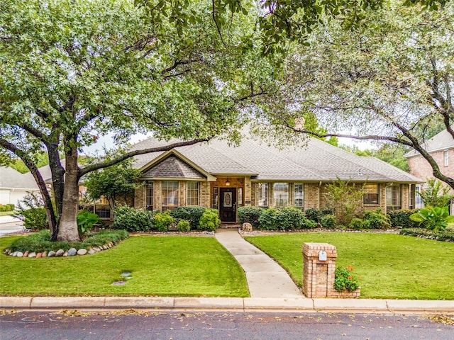 ranch-style house featuring a front yard