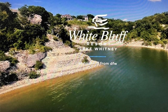 21120 Trailwood Dr, Whitney, TX 76692