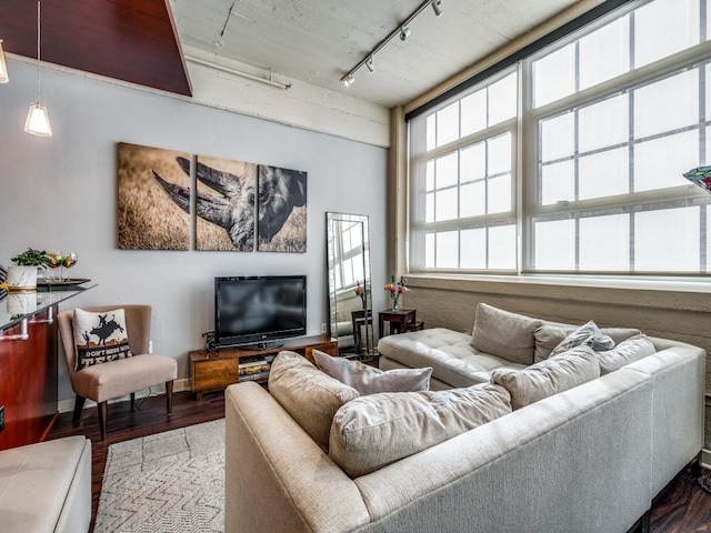 living room with track lighting and hardwood / wood-style flooring