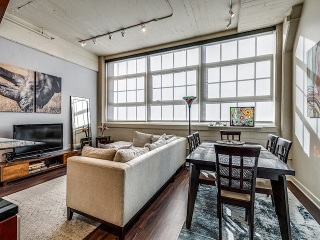 living room with dark hardwood / wood-style flooring and track lighting