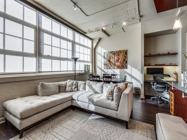 living room with hardwood / wood-style flooring, a healthy amount of sunlight, and track lighting