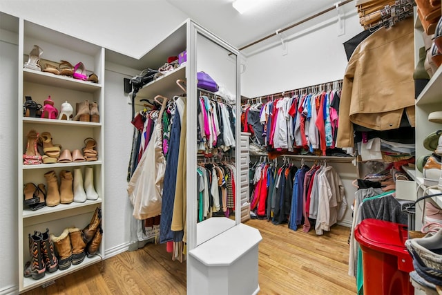 spacious closet with hardwood / wood-style floors