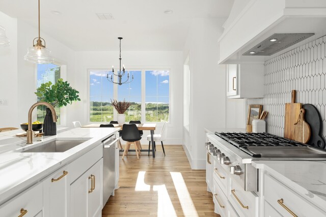 7745 Laura Lake Ln, Fort Worth, TX 76126 - kitchen featuring a sink, appliances with stainless steel finishes, light wood finished floors, premium range hood, and healthy amount of natural light