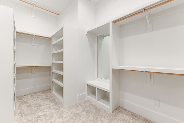 walk in closet with light carpet