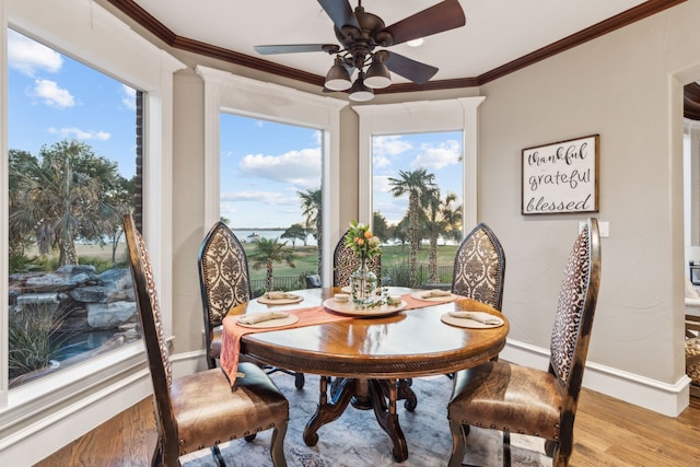 dining area featuring light wood-type flooring, ceiling fan, and crown molding