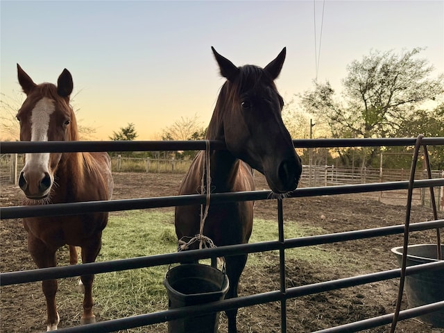 view of horse barn