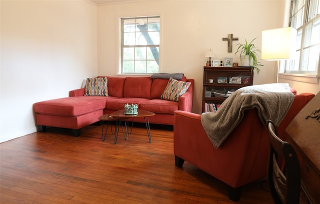 living room with dark wood-type flooring