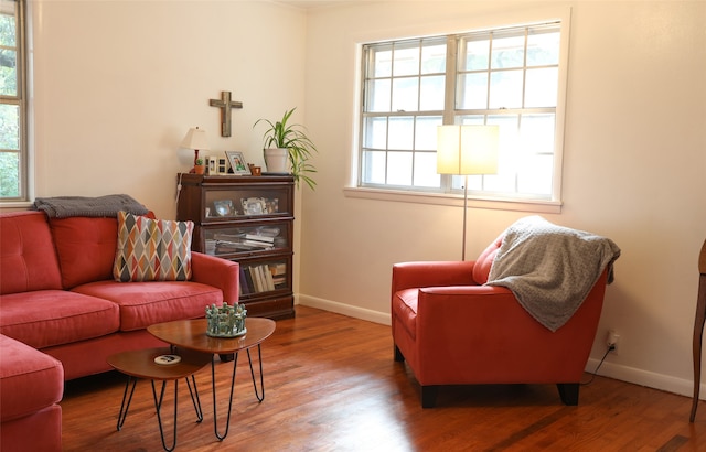 living room with wood-type flooring and a healthy amount of sunlight