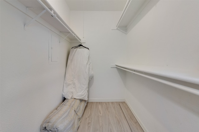 spacious closet featuring light hardwood / wood-style floors