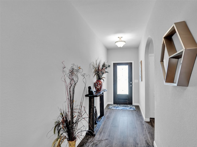 entryway featuring dark hardwood / wood-style floors