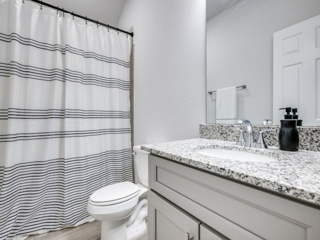 bathroom featuring toilet, vanity, and wood-type flooring