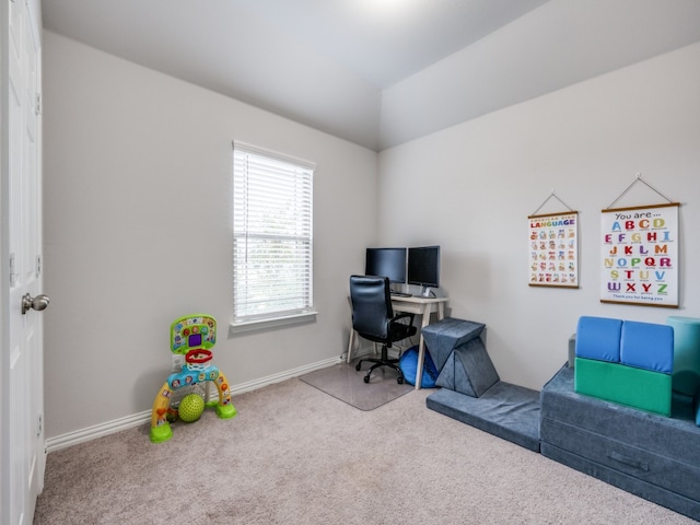 home office with carpet