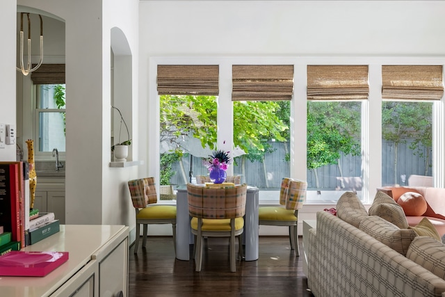 interior space featuring a healthy amount of sunlight and sink